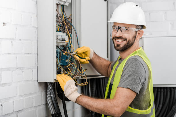 Best Ceiling Fan Installation Electrician  in Cheswold, DE