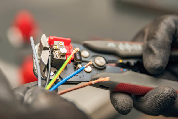 Best Electrical System Inspection  in Cheswold, DE