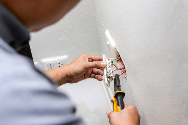 Best Licensed Electrician  in Cheswold, DE