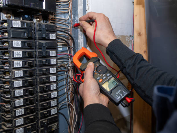Best Licensed Electrician  in Cheswold, DE